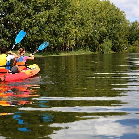Les Cygnes Au Bord Du Loing Villa Montigny-sur-Loing Kültér fotó