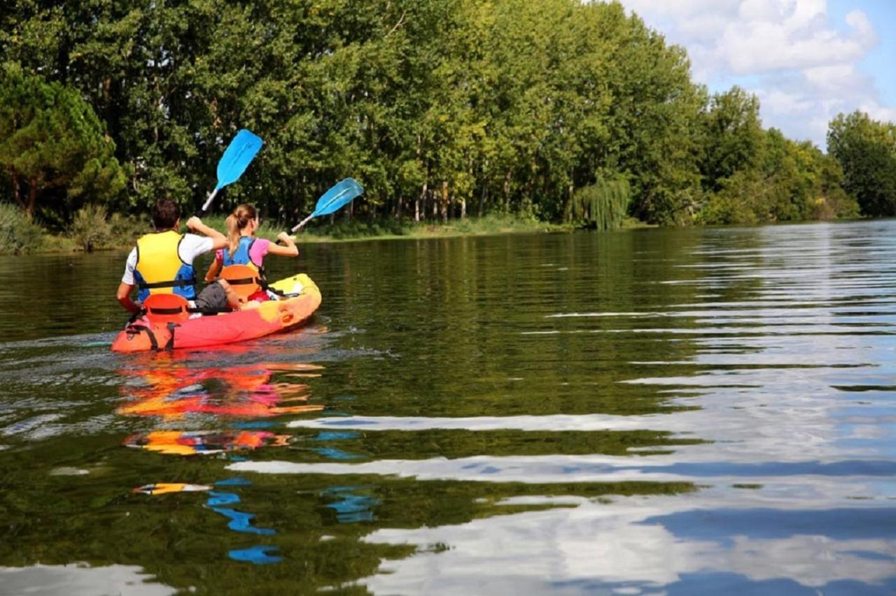 Les Cygnes Au Bord Du Loing Villa Montigny-sur-Loing Kültér fotó
